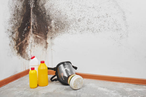 Best Mold Removal for HVAC Installations  in Tolar, TX